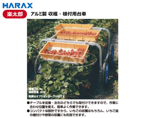 HARAX ハラックス 楽太郎 ra-80